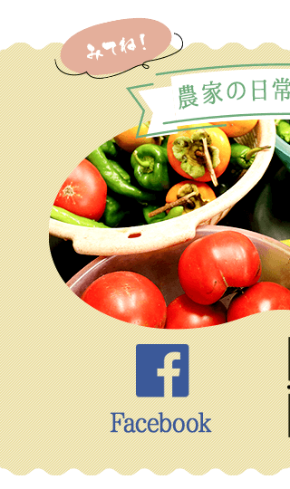 sp_banner_h_fb