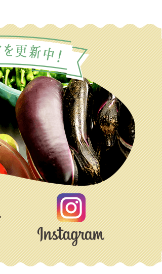 sp_banner_h_fb