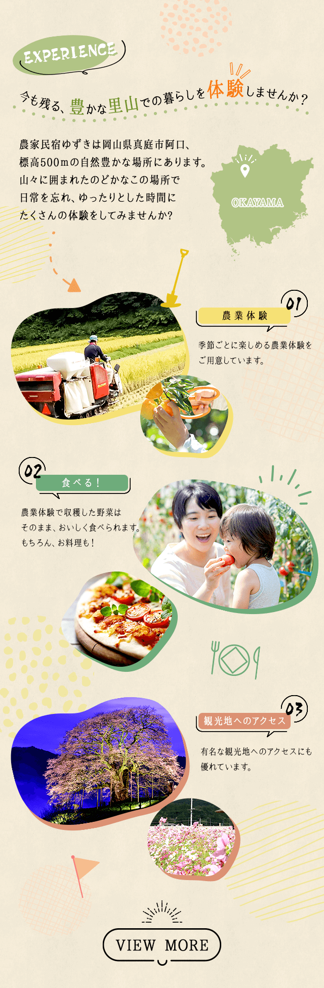 sp_body_bg